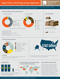 thumb-Energy-Storage-Infographic